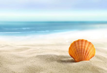 举重项目男子组领先优势明显