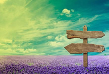 湖南稠州男篮势如破竹，让对手望风而逃