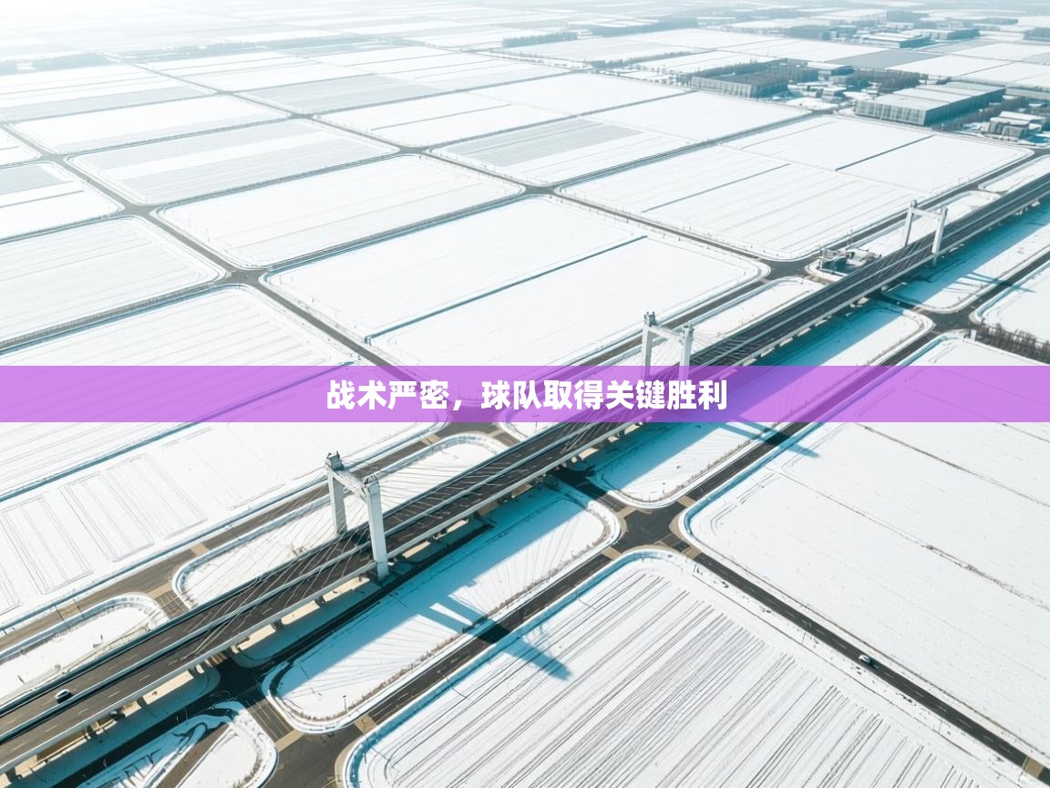 战术严密，球队取得关键胜利  第1张