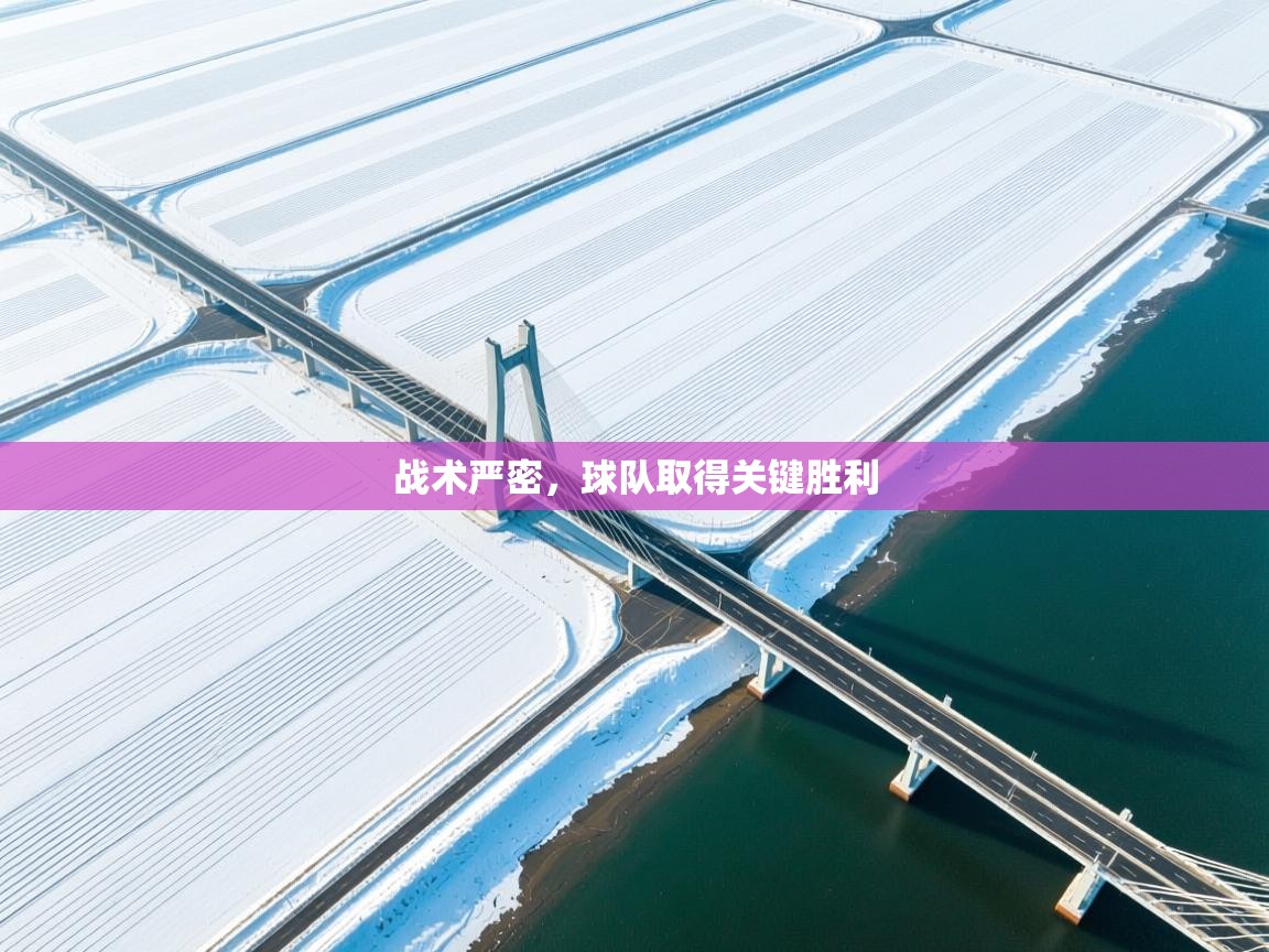 战术严密，球队取得关键胜利  第2张