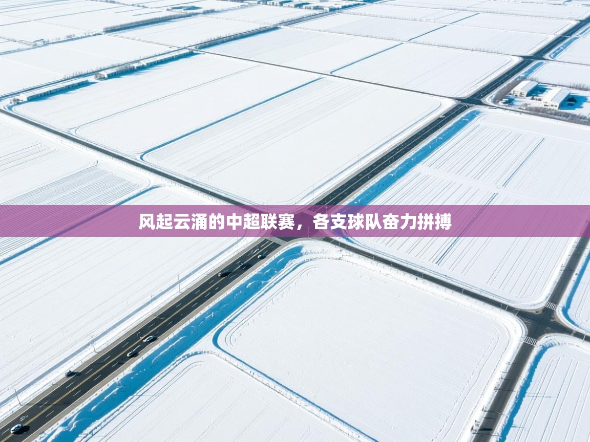 风起云涌的中超联赛，各支球队奋力拼搏  第2张